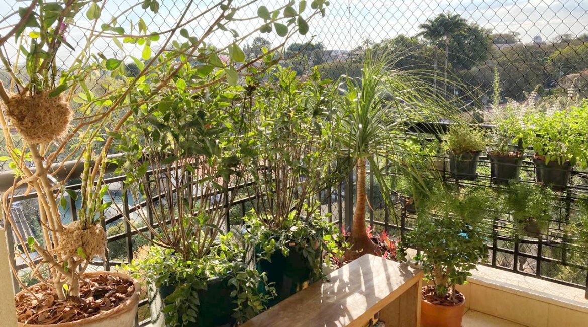 Como ter um jardim em apartamento Como ter um jardim em apartamento